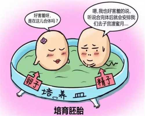 北京靠谱助孕，让每个家庭更圆满
